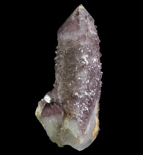 Cactus Quartz (Amethyst) Crystal - South Africa #64234